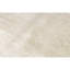 Area Rug in Beige