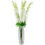 Tiges Delphinium-86731931