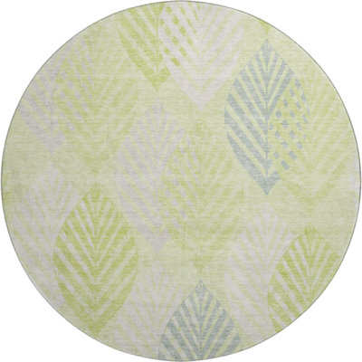 Premium Machine Washable Prisco Aloe Rug