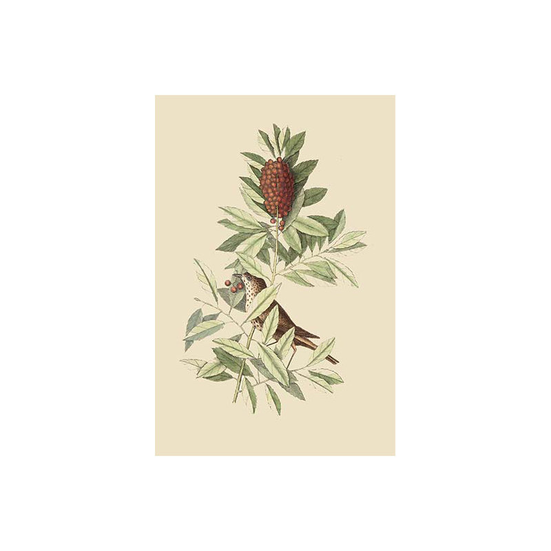Reproduction d’art graphique-impression, H 42 po x l 28 po x P 1,5 po