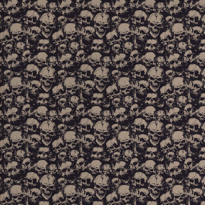 Tissu crâne