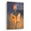 «Candle Plant» par Thomas Haney-101626902
