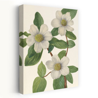Contemporary Art Colorful Retro Rustic Flower Plant Art