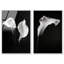Calla Lily Set High-Gloss Frameless Acrylic Glass Wall Art Floral & Botanical Print by Oliver Gal, Ready to Hang, 10 x 15-1444989950-1444989945