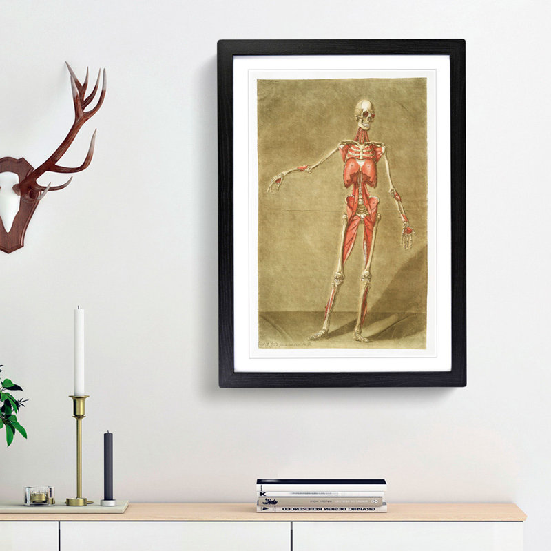 Anatomical Illustration of a Male No. 4 by Gautier-Dagoty - Picture Frame Painting Print, 65cm H x 48cm W x 2cm D