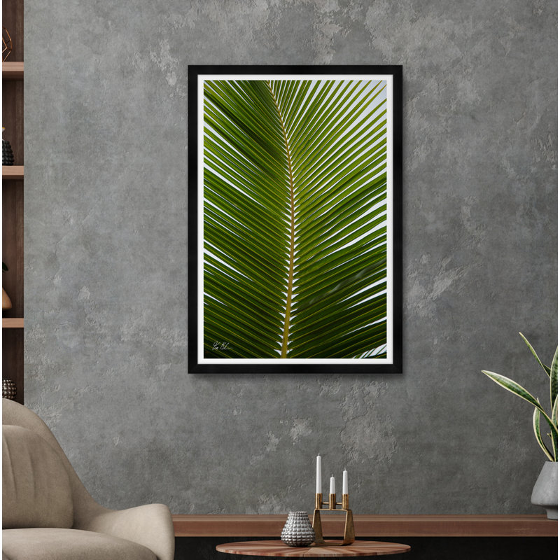 Tropical Palm Print by Tim Klein