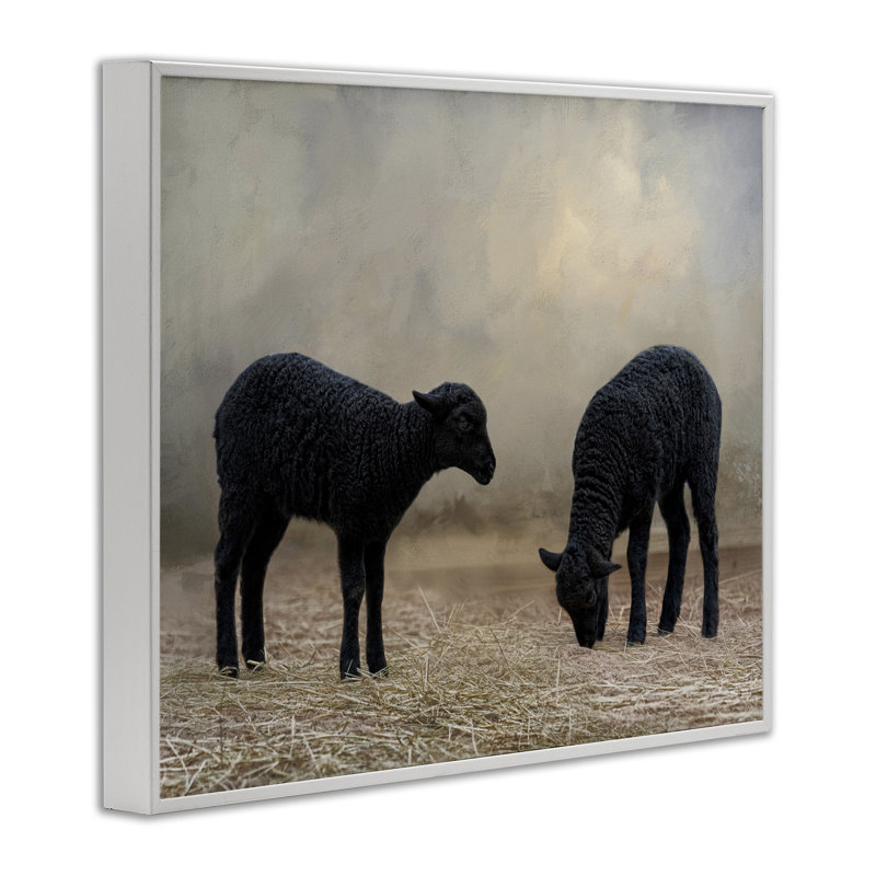 Art de giclée de mouton noir par Kelley Parker, Estampe numérique encadrée blanc bord de mer, H 16 po x l 20 po