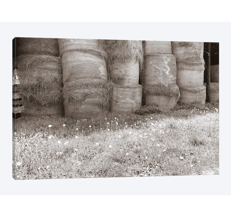 « sépia farm study v », reproduction de photo sur toile, H 26 po x l 40 po x P 1,5 po, Toile tendue, No Matte