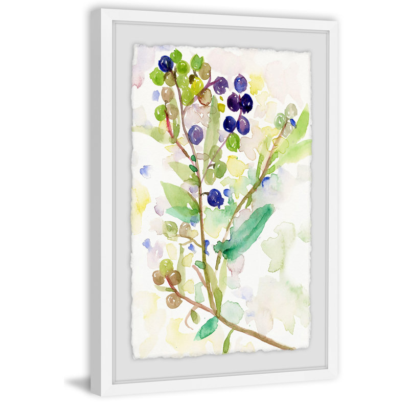 Grape Vine by Lindsay Megahed - Single Picture Frame Painting, 41cm H x 61cm W x 4cm D, White Framed with Deckled Edges