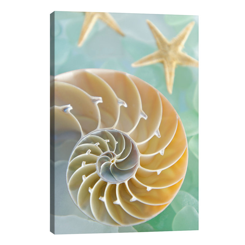 Alan Blaustein - Wrapped Canvas Print, 66.04 cm H x 45.72 cm W x 1.91 cm D