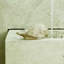 Solo Bird Garden Statue-13916425