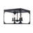 Ruby Ridge 4 - Light Caged Flush Mount-101811019