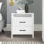 Allysyn 22.7" 2 Drawer Nightstand-1236465982-1293806191