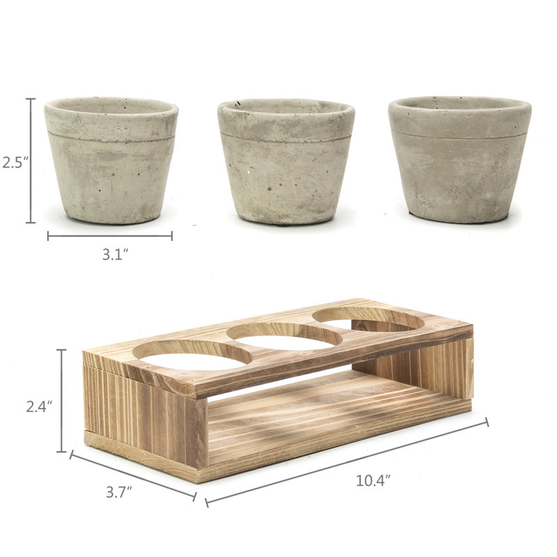Ceramic Pot Planter