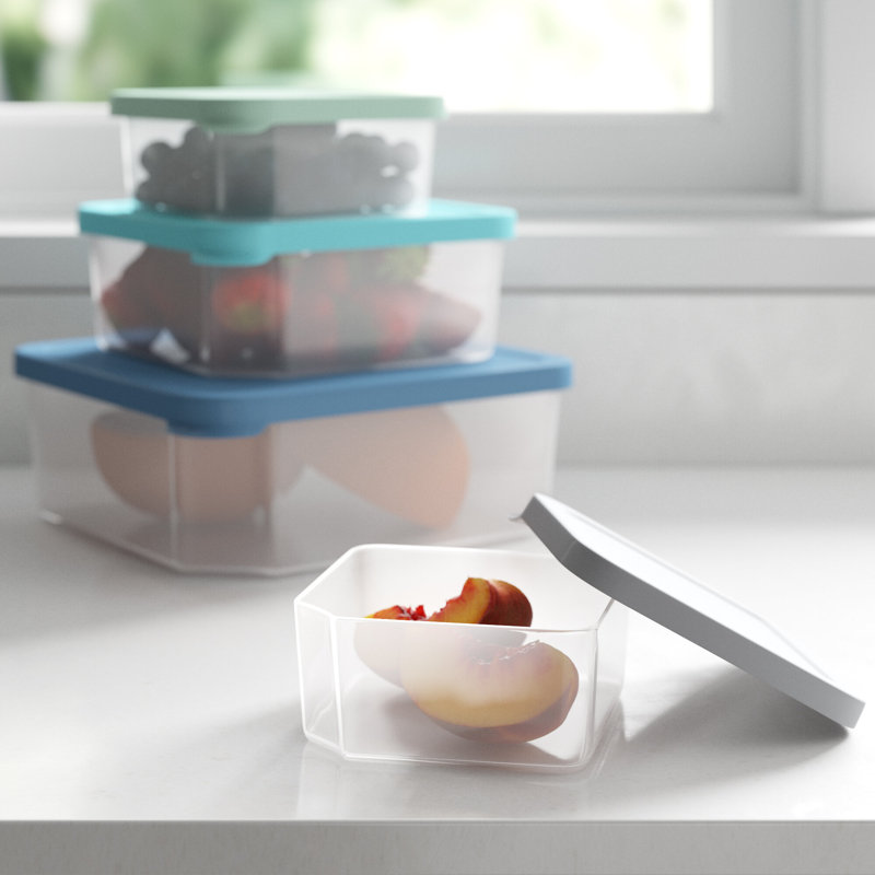 Ensemble de 4 contenants alimentaires Akeen