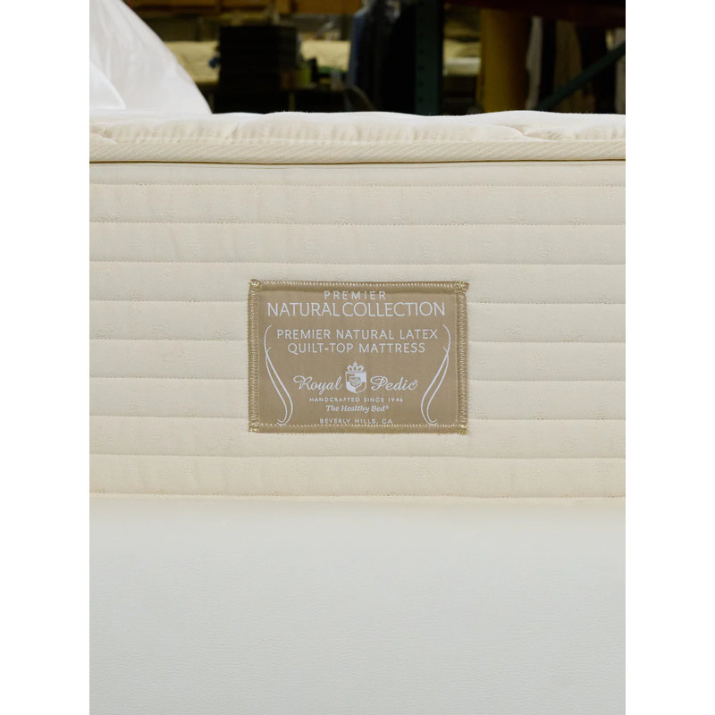 Premier Natural 11.5'' Plush Latex Mattress and Box Spring Set, Queen