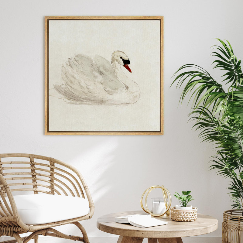 «Elegant Swan In Repose», reproduction d'art sur toile, Toile naturelle, H 24 po x l 24 po