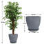 Pots à plantes ronds artificiels avec plateau en ficus artificiel et résine-36178604-34553685