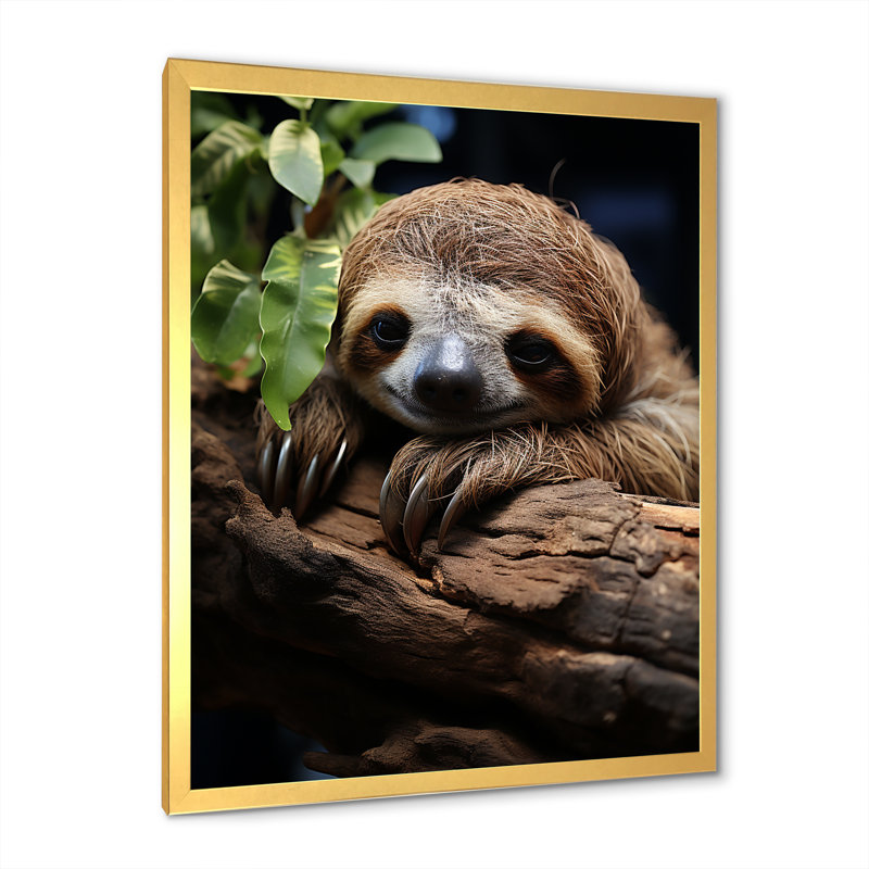 Rustic Repose Sloth sur toile, H 32 po x l 16 po x P 1 po, Cadre doré simple