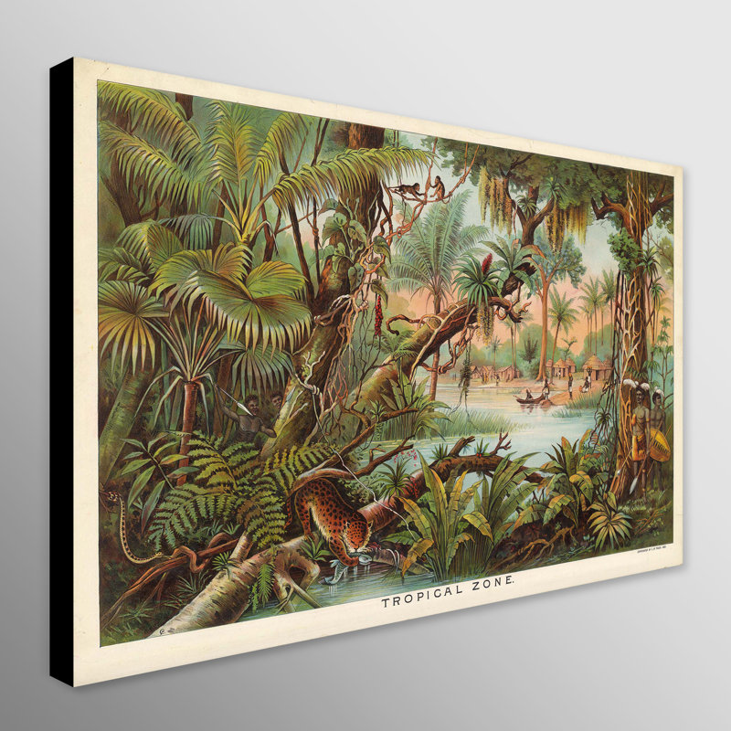 Tropical Zone by Levi Walter - Wrapped Canvas Art Prints, 31 cm H x 41 cm W