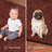 Amberjo Washable Indoor Rug