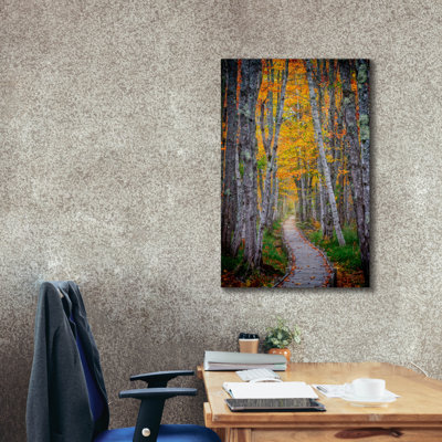 'Jesup Path Ii' by Rick Berk Canvas Wall Art