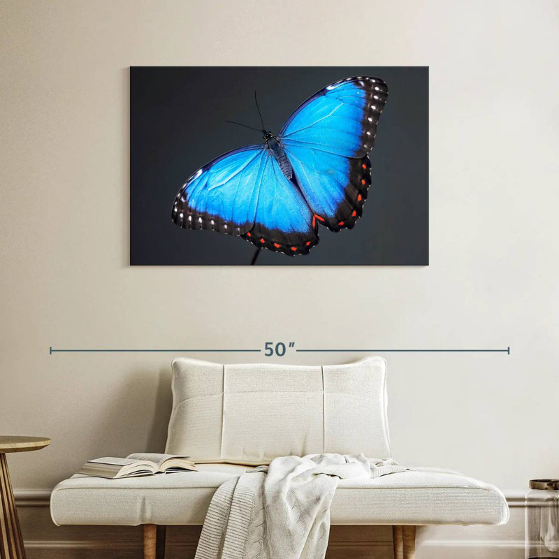 Brampt Blue Morpho Butterfly, 26" H x 39" W