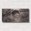 «Buffalo River 11» par Gordon Semmens-1685403744