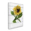 «Rustic Sunflower Blossom cmw-113», art mural personnalisé-102503602-102555501-102503604