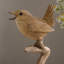 Sing Bird On Branch