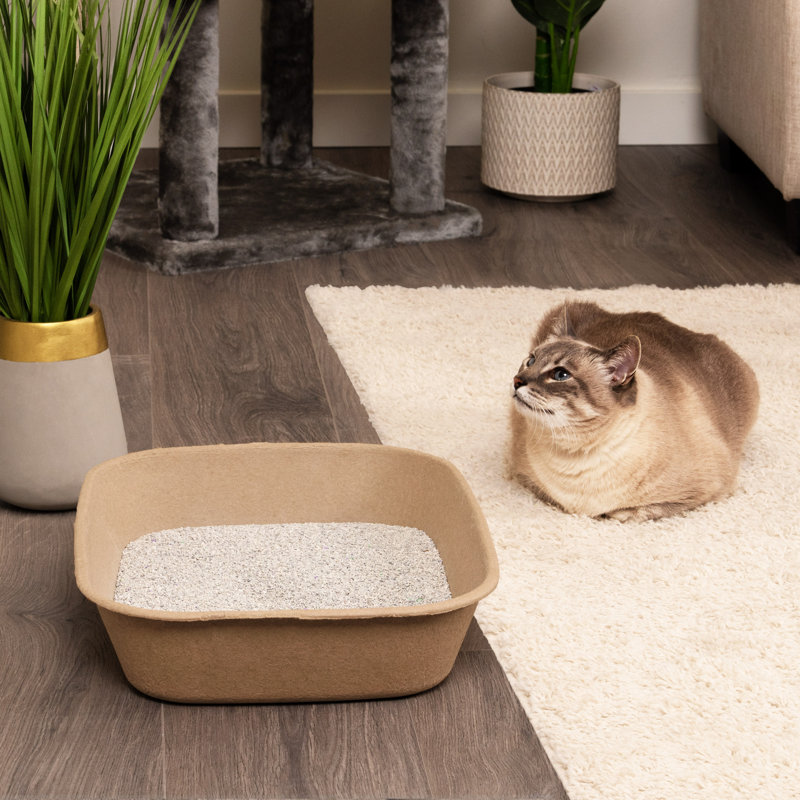 Litter Box