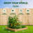 Keimari Wood Raised Garden Bed-1263564746