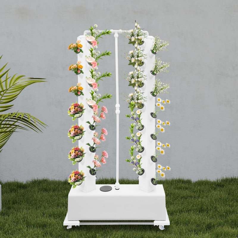 Ensemble de 56 plantes à germer