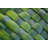 Lush Woven Leaves by Pleio - No Frame Print on Canvas-87019031