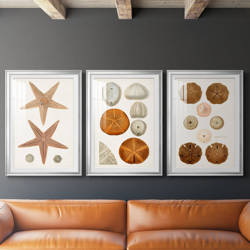Coastal Curiosity I  -Custom Framed  Premium Print W Matt - 3 Pieces