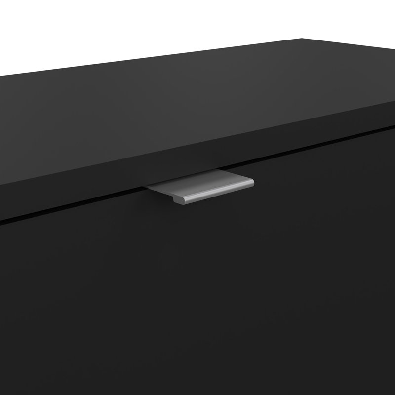 Armoire de rangement pour chaussures Domini, 12 paires, Noir mat