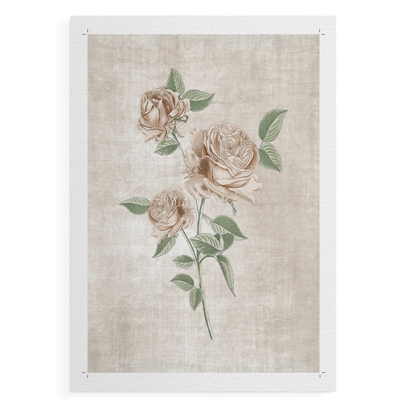 «Blushing Rose Botanical I», impression sur toile seulement - non encadrée, H 18 po x l 12 po