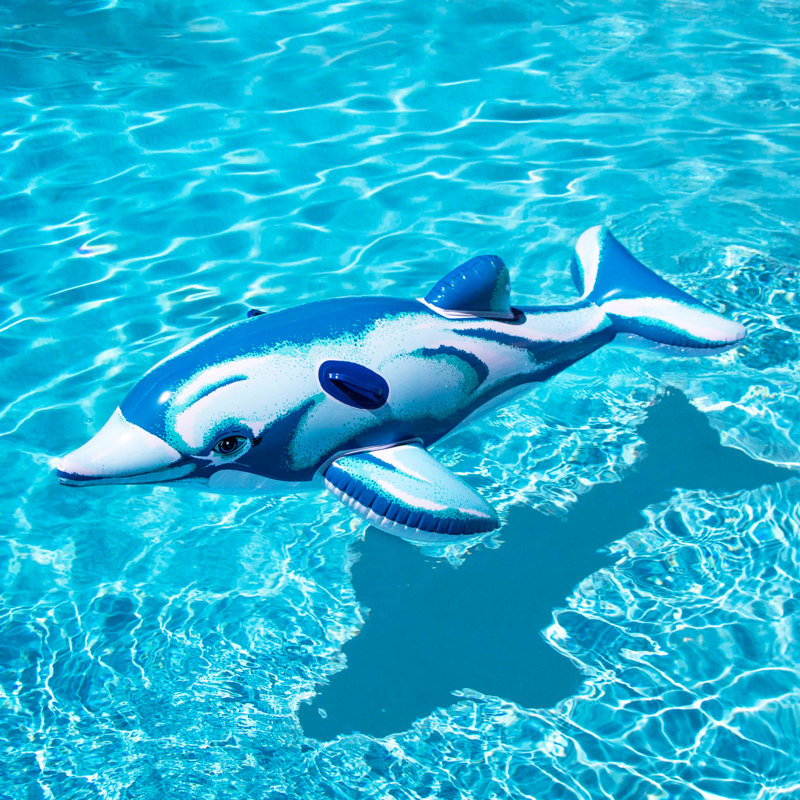 Pool Dolphin Cover