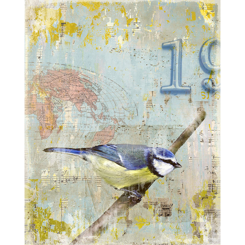 Aves 19 Print by Zoey Riley, 30" H x 24" W, Plexi