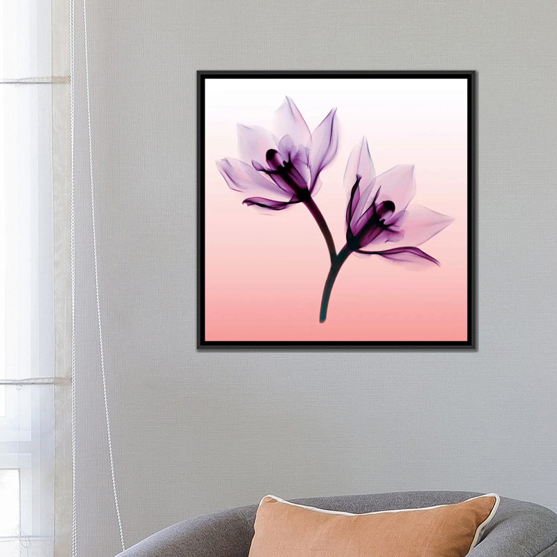 «Orchids II», impression sur toile, H 26 po x l 26 po x P 1,5 po, Toile encadrée noire, Pas de tapis