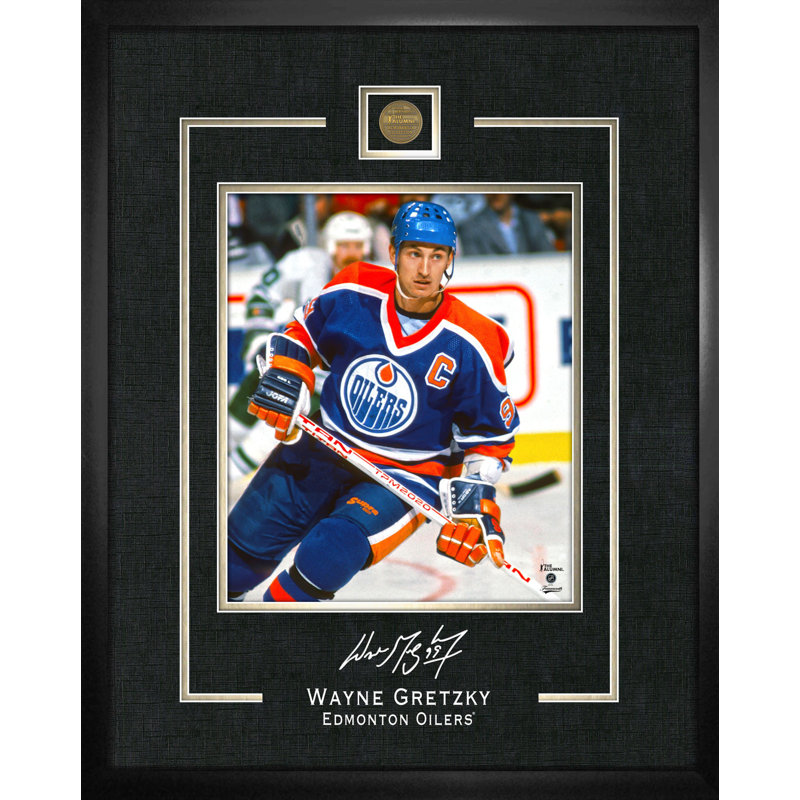 Reproduction de graisseurs de cadre 16 x 20 par Wayne Gretzky