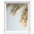 White Shadowbox