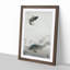 Three Carp Fish by Ohara Koson - Picture Frame Painting Print-55611318-55611319