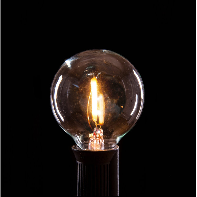 Guirlande de 25 lumières sphériques d'extérieur Hinman, Fil noir, G40