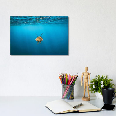 Following Golden Turtle Underwater 1 Piece Wrapped Canvas Wall Art