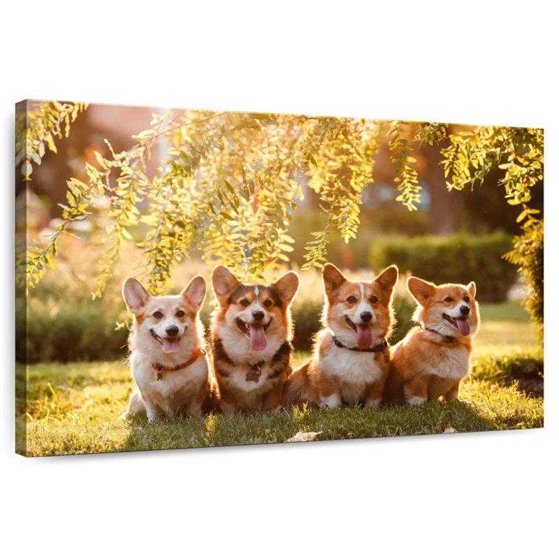Portrait de famille Brampt Corgi, H 34 po x l 51 po