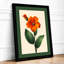 Orange Bloom With Stamens Botanical - Print-617580943-617580942