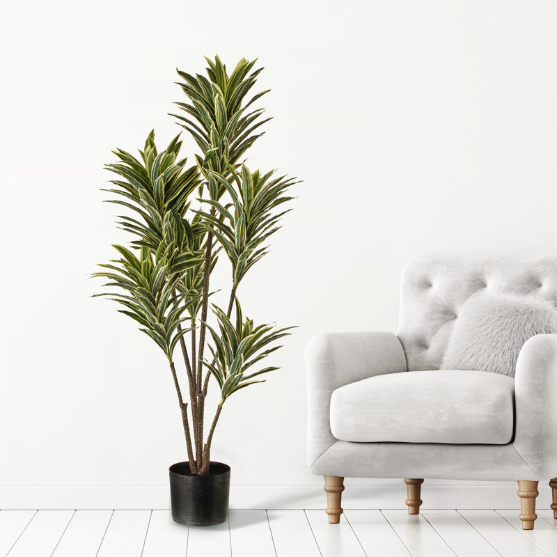 46'' Faux Dracaena Tree in Pot
