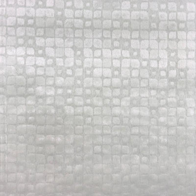 Embossed Velvet | Baxter Fabric_BAXTER