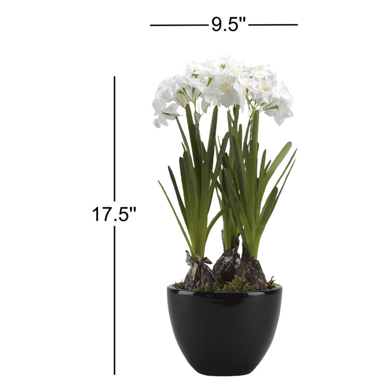 Bulbes de papier blanc dans un arrangement floral de plancher en pot